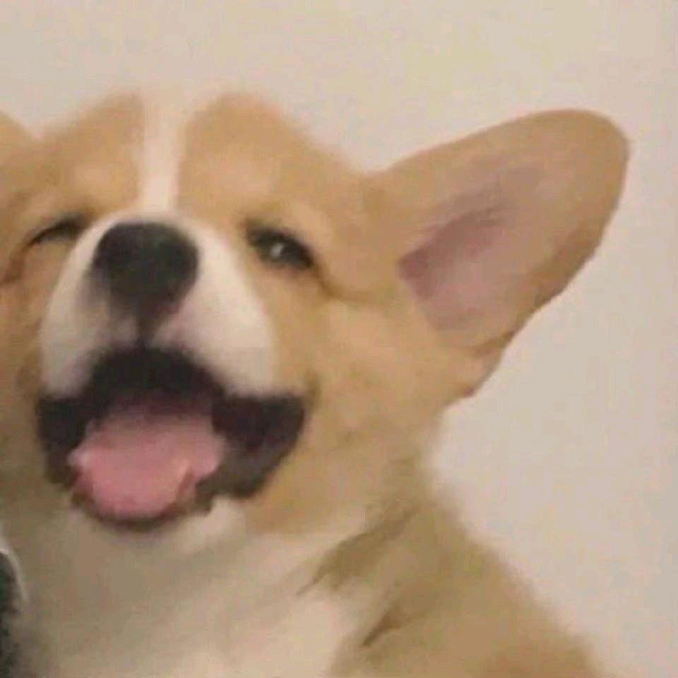 大屁