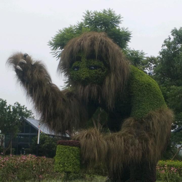 大王