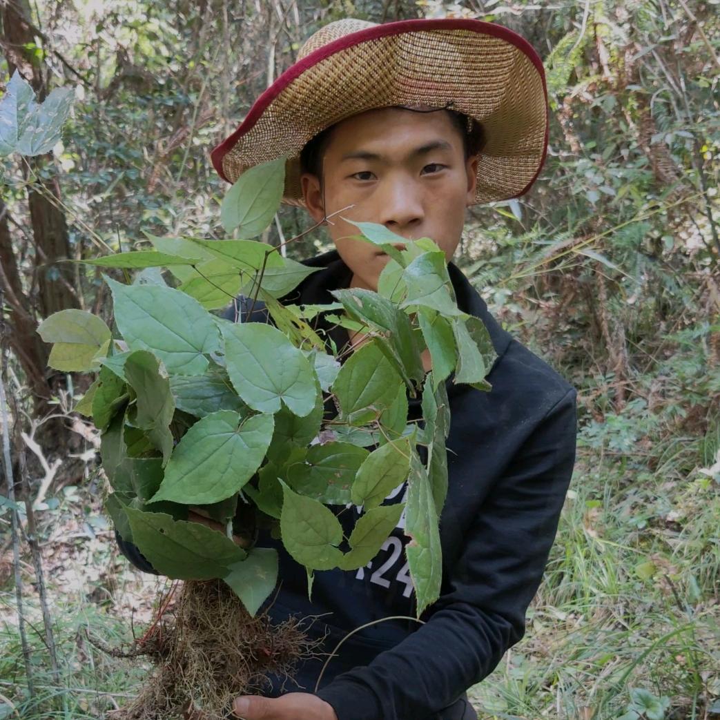 李勇百草集