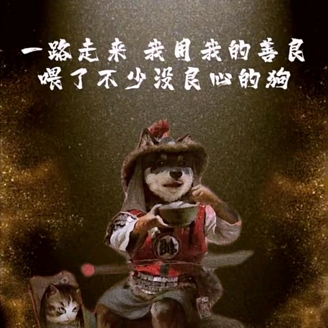 别回头的向前走