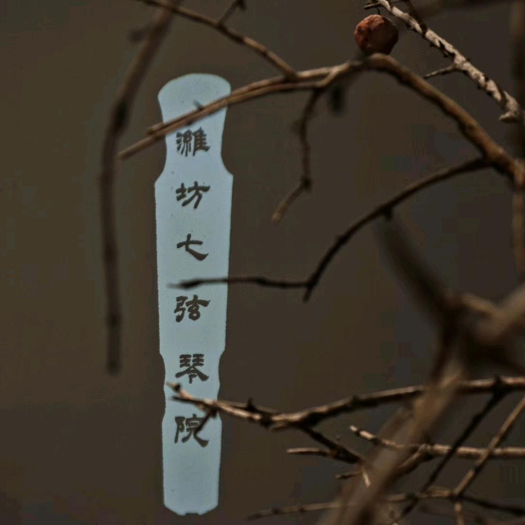 潍坊七弦琴院
