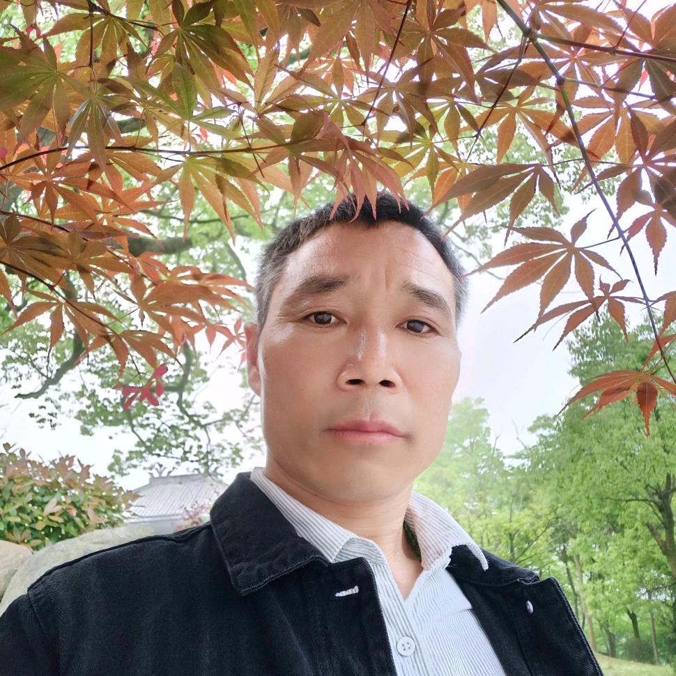 顺其自然，王新