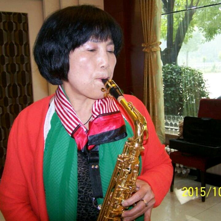 远飞的雁