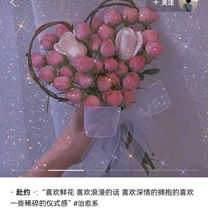 崔小葵🐨