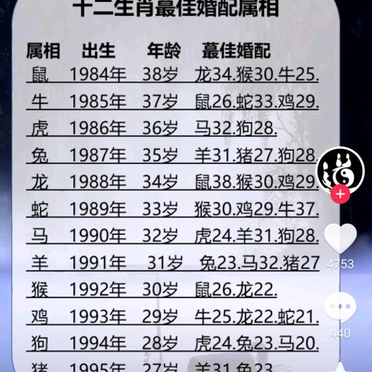 龙头爱分享