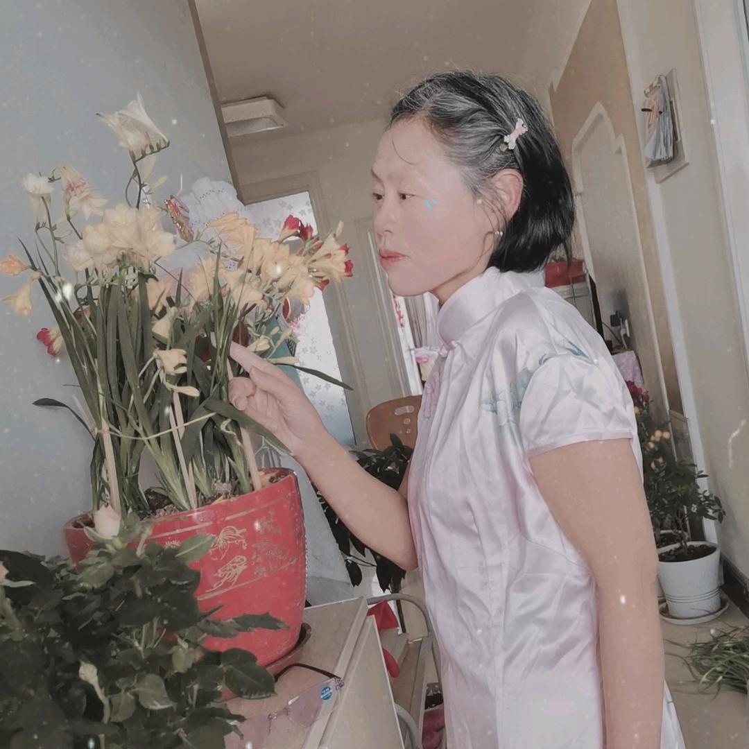 茉上花开游三助理