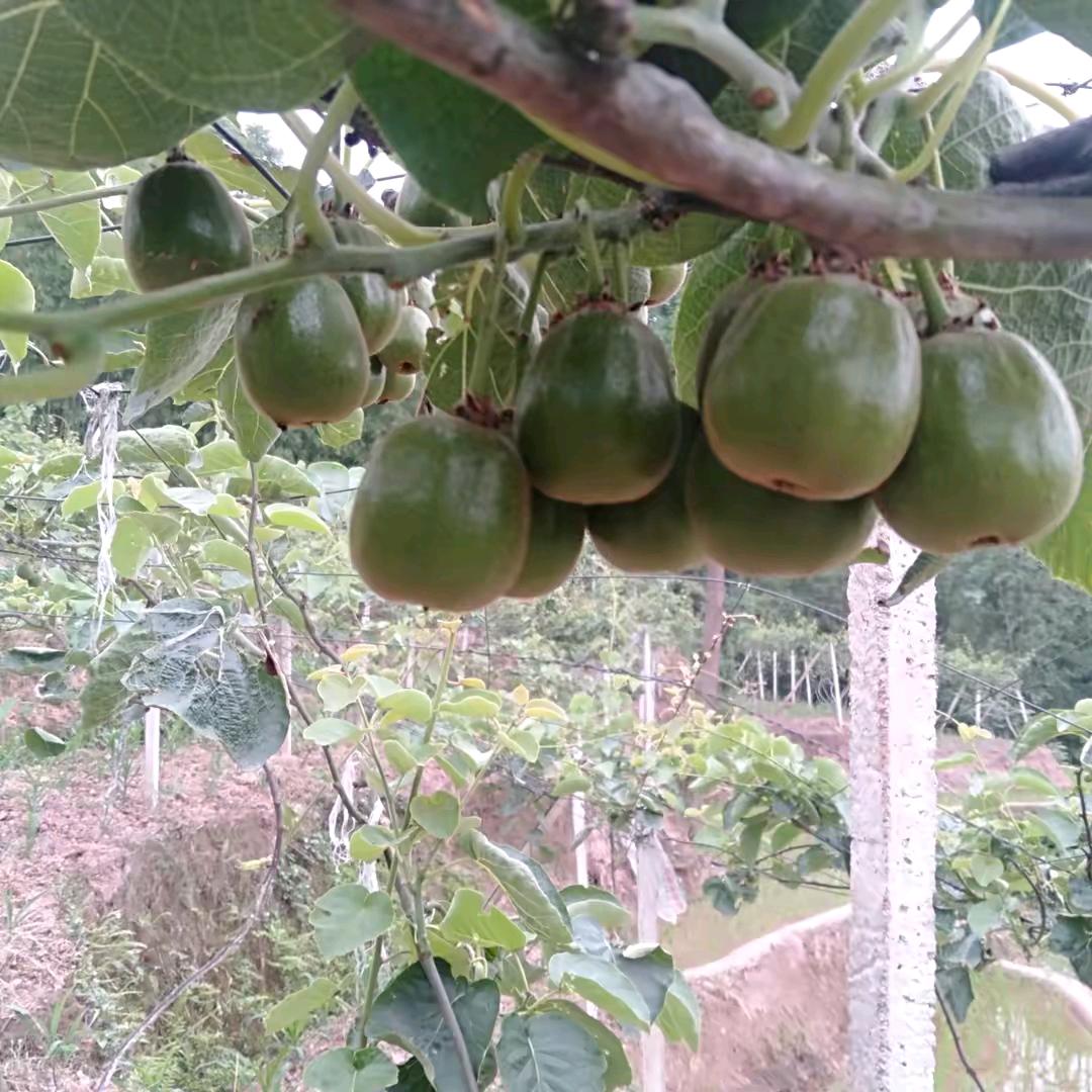 爱的世界只有你我