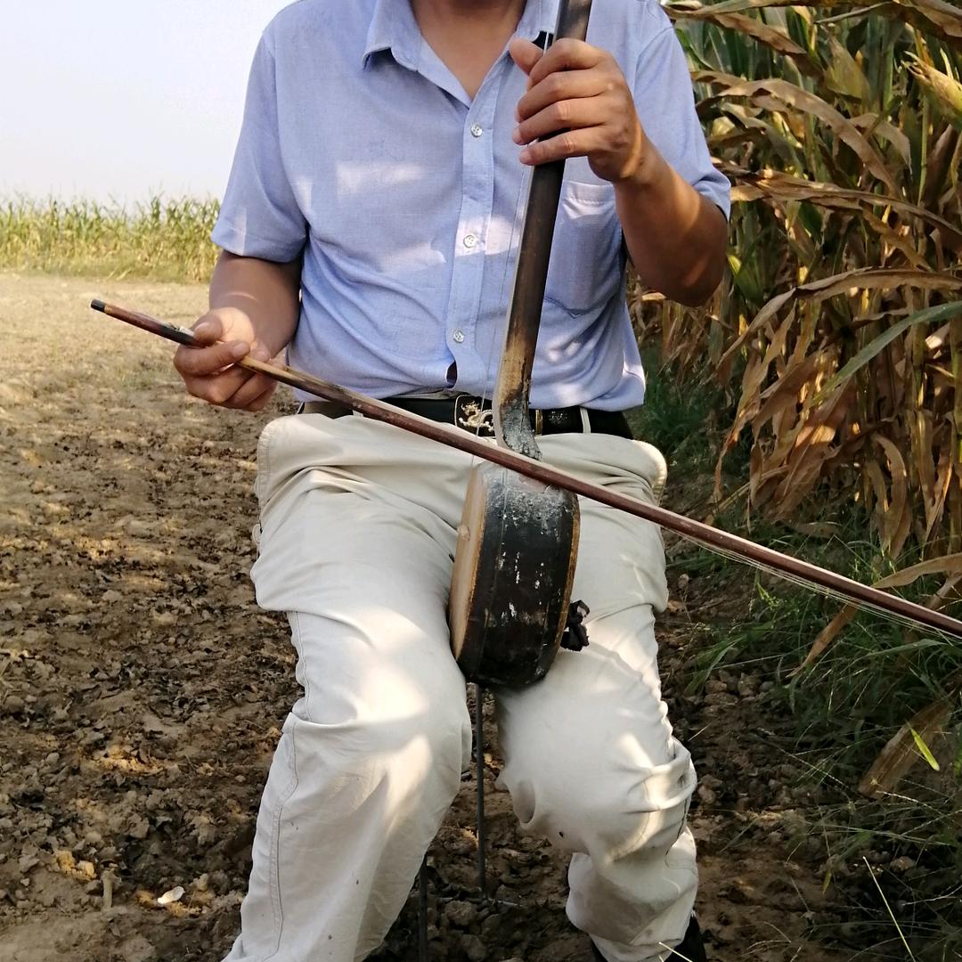 邵永板胡