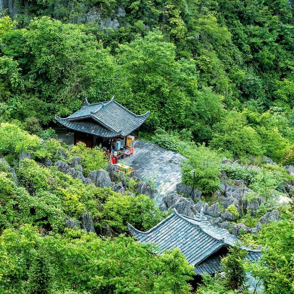 HZG青春无悔