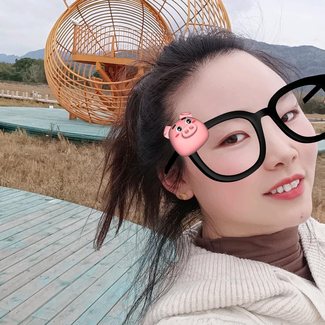 丹姐鲜肉葱油饼