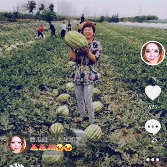 蒲城西瓜🍉姐