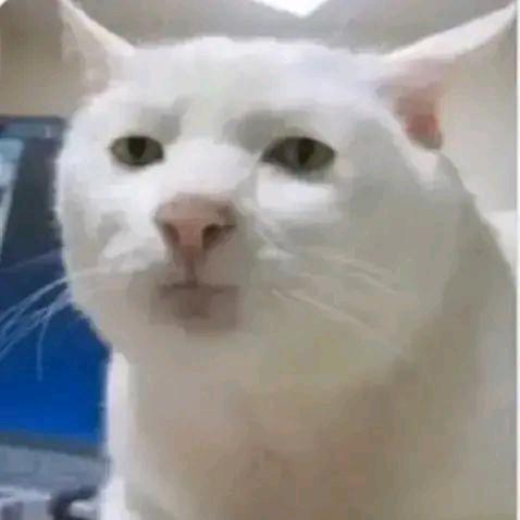 河南彭于晏
