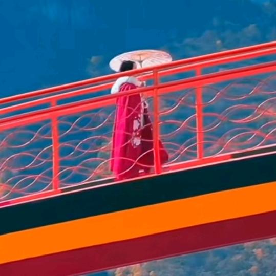 批发桑苗   陆陆