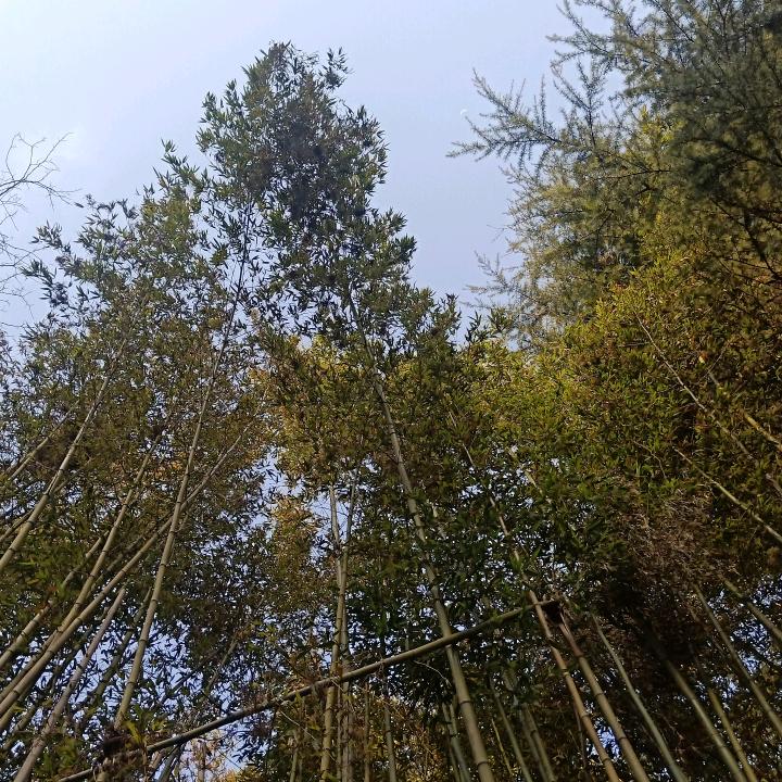 小艾love