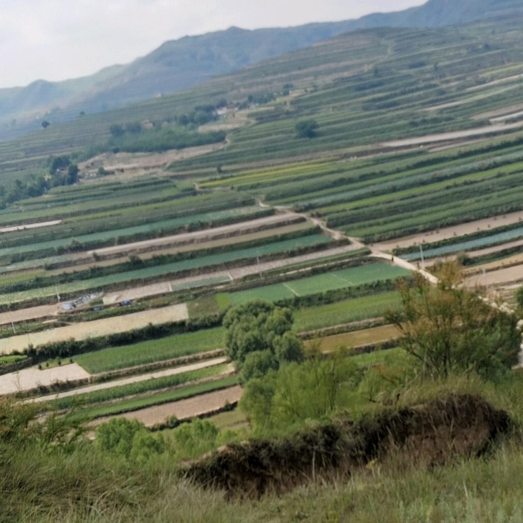 不认命，就拼命，
