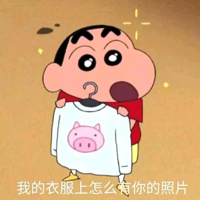 鸿元