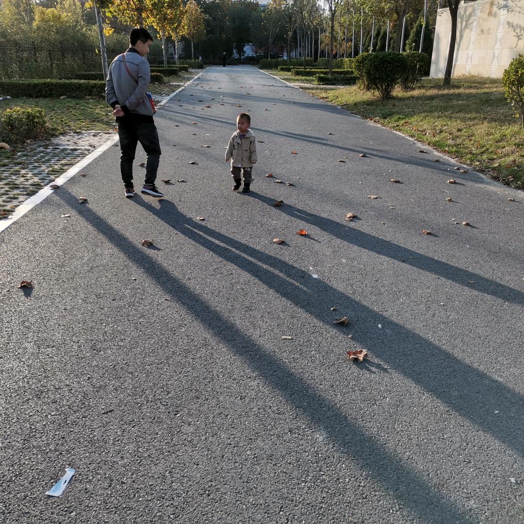 小恒豆儿