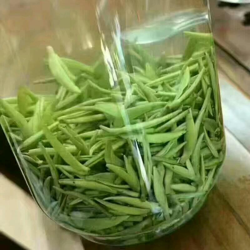 像风一样潇洒
