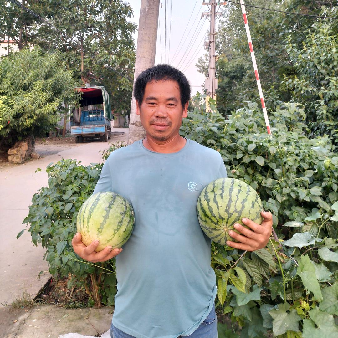 阜阳西瓜哥