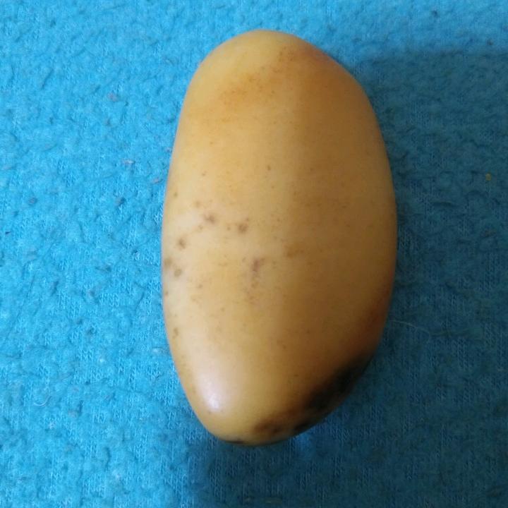 唐河玉发烧友
