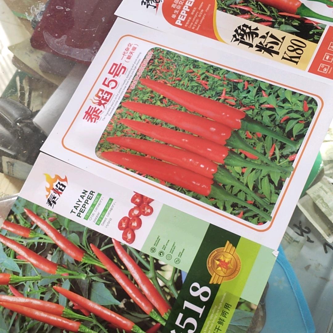 辣椒订单回收一条龙服务站