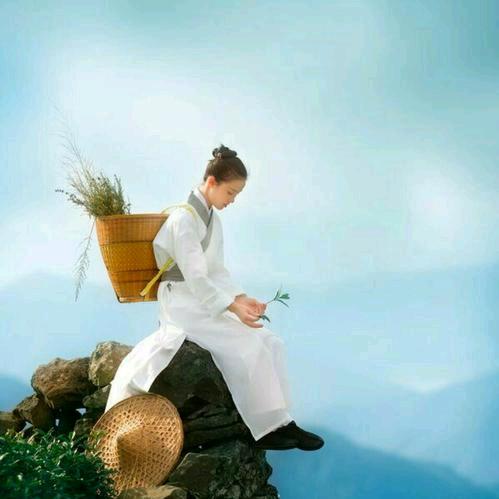 城西区雲上沐月田园茶室