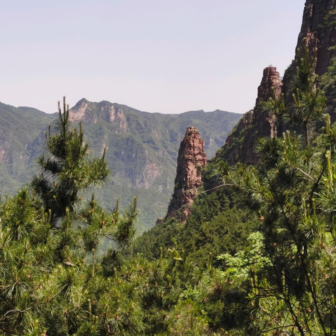 liu岸齐眉