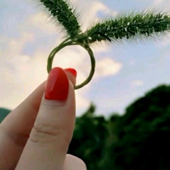 ℋღ᭄曾經🍒再美᭄也是傷💞࿐