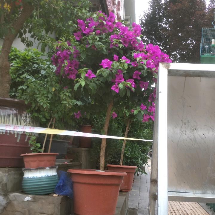 一生平安