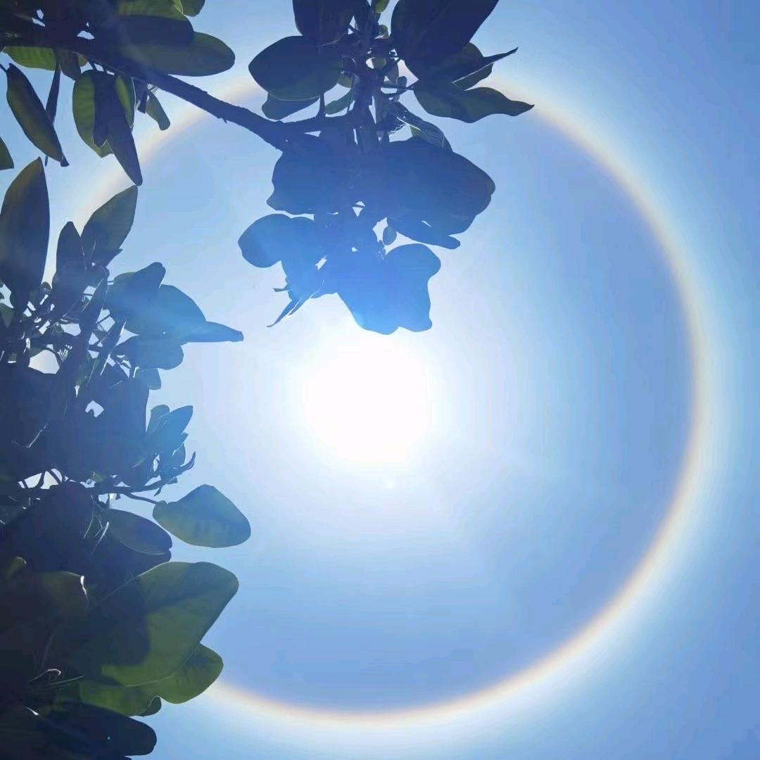 阿紫