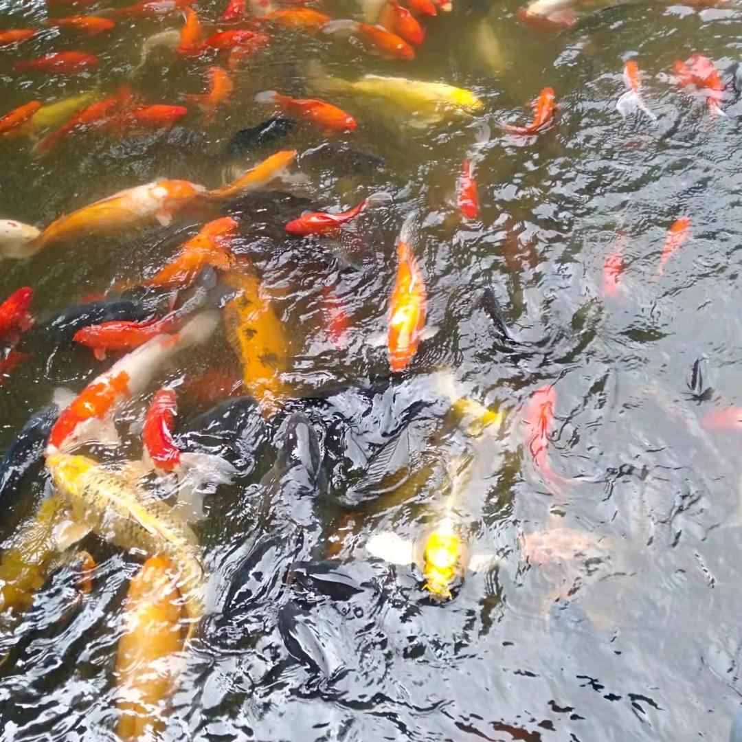 隔壁小王🤗
