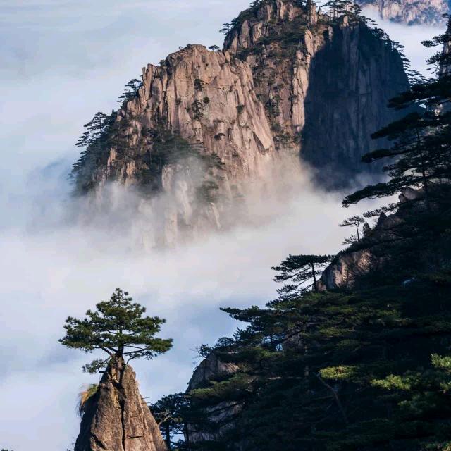顺大爷