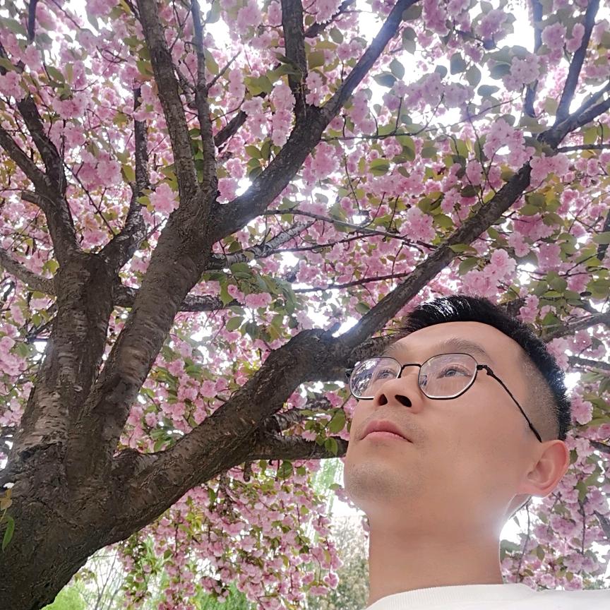 狼的诱惑