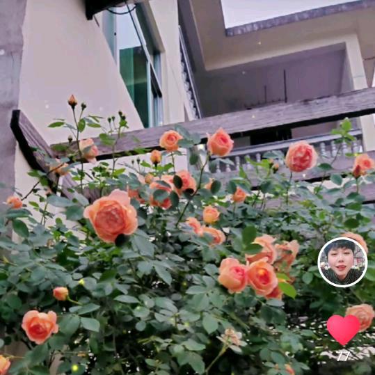 珍惜时光♥1026♥
