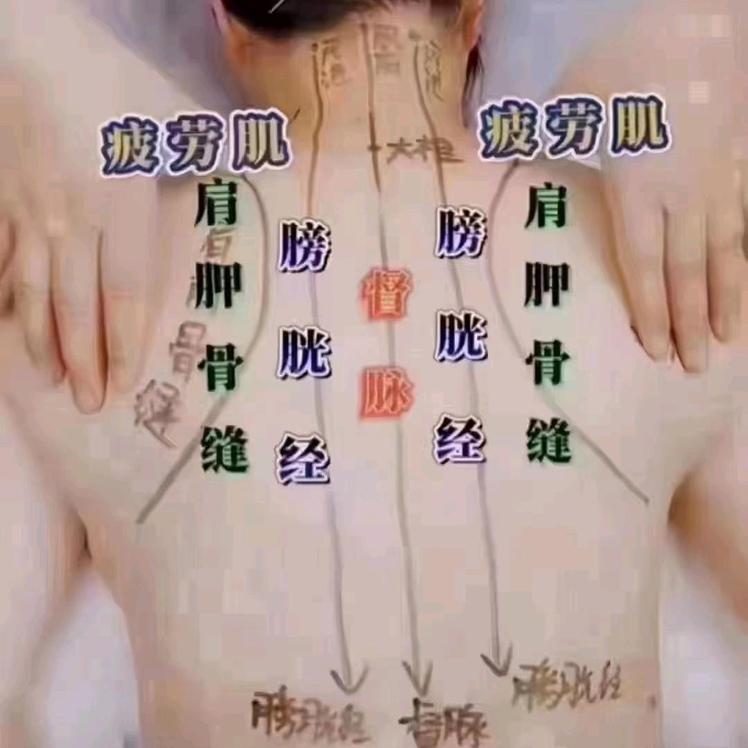 ╰╮般若