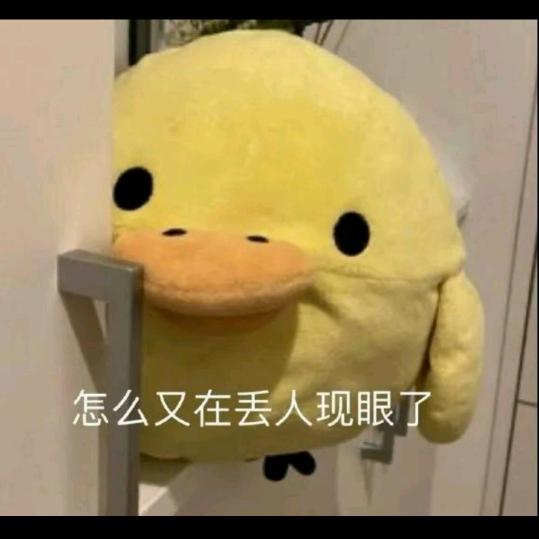 稚趣园游会