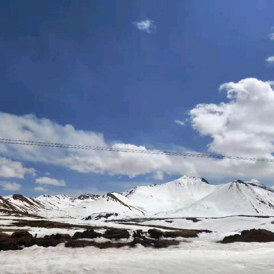 ཉི་འོད་གཞོན་ནུ་