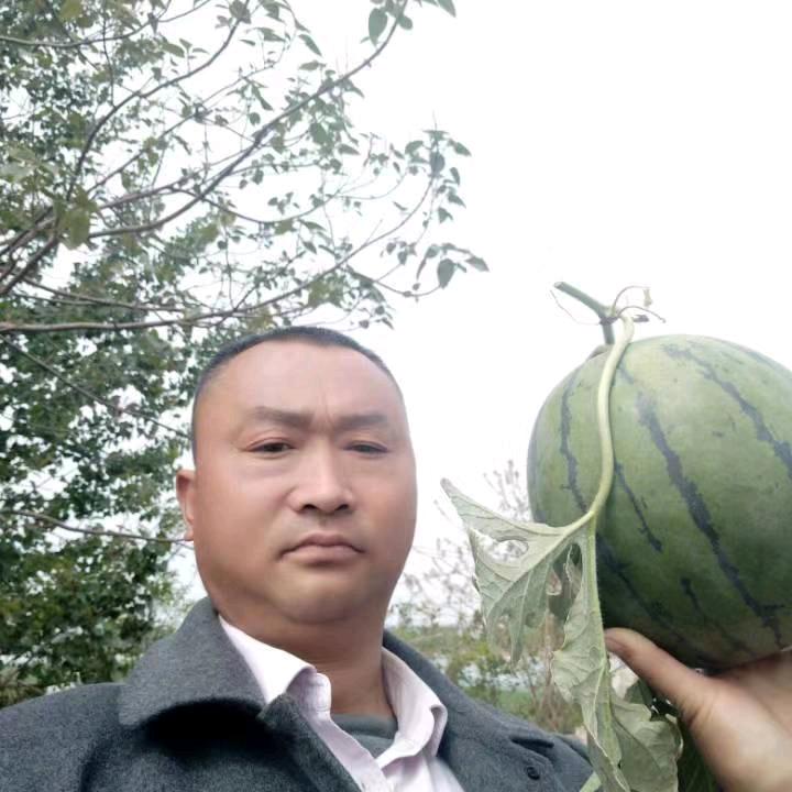 石在忠诚信代办