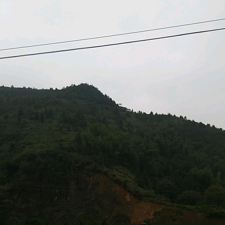 典型代表