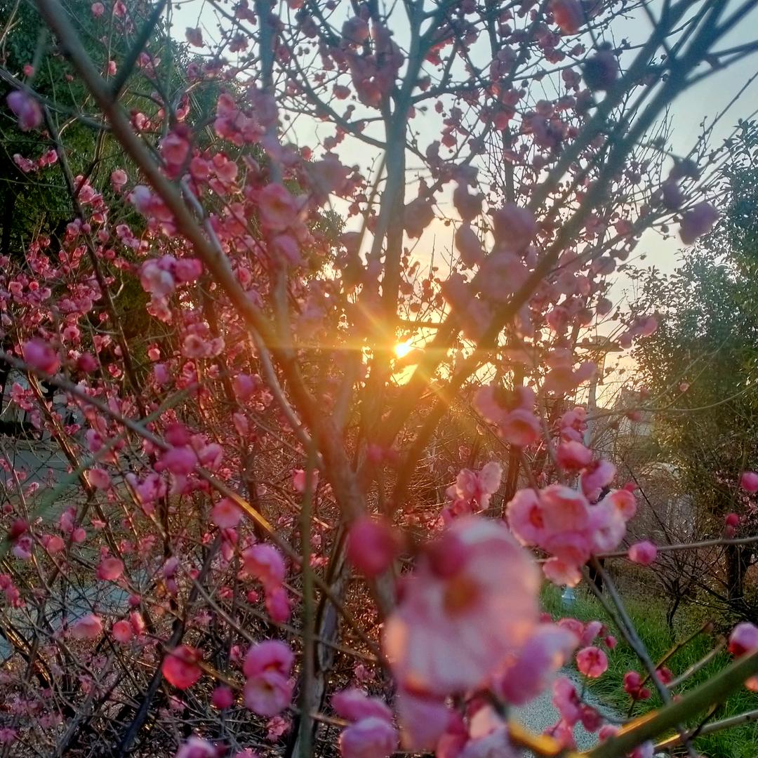 森森🎤歌曲