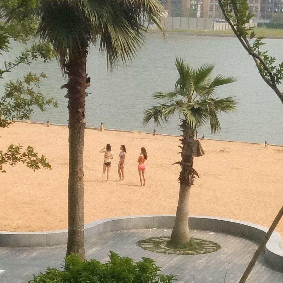 风中蓝蜻蜓