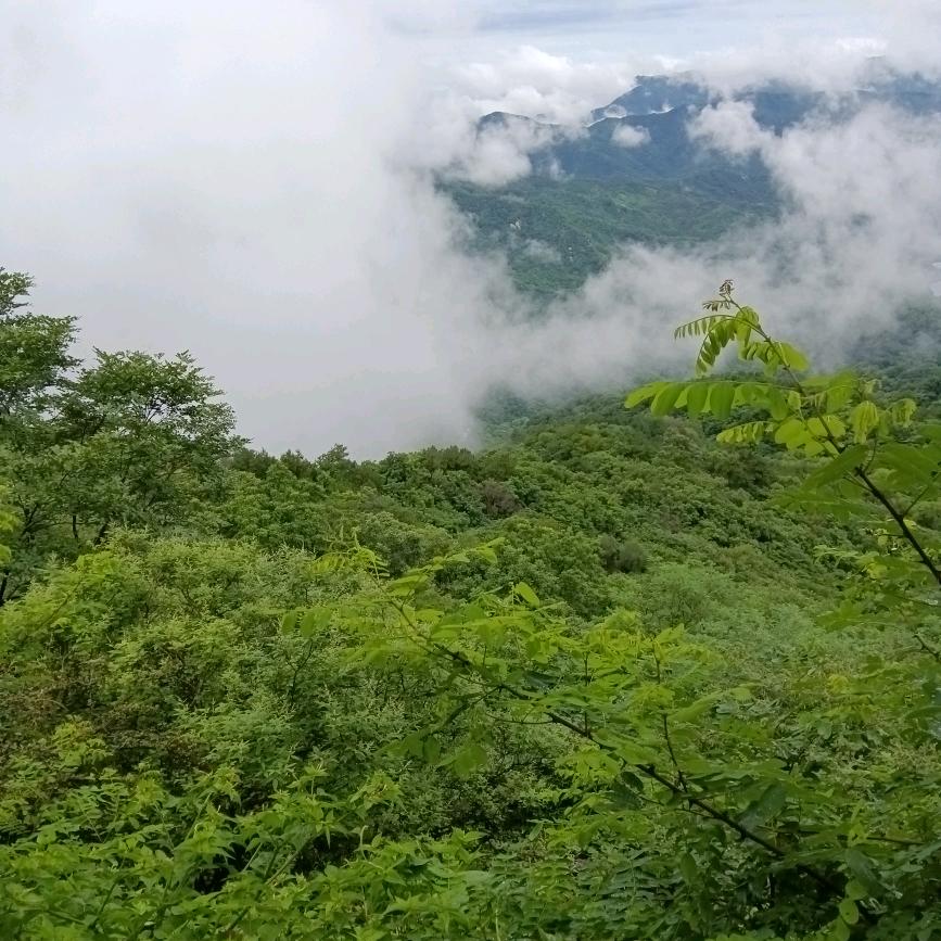 随遇而安