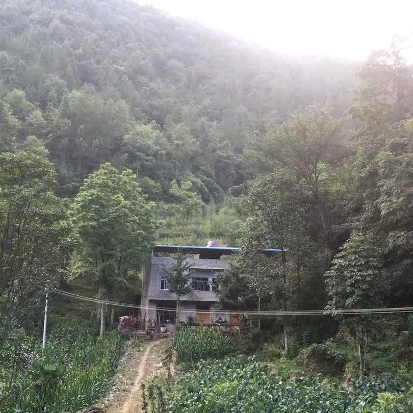 顺风顺水