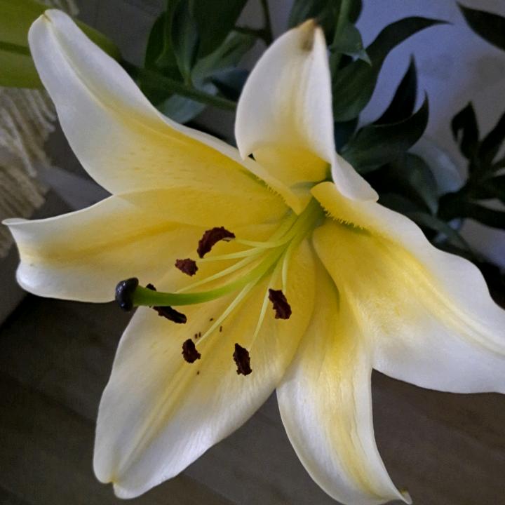 太阳