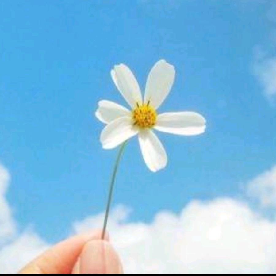 卖家电的小姐姐