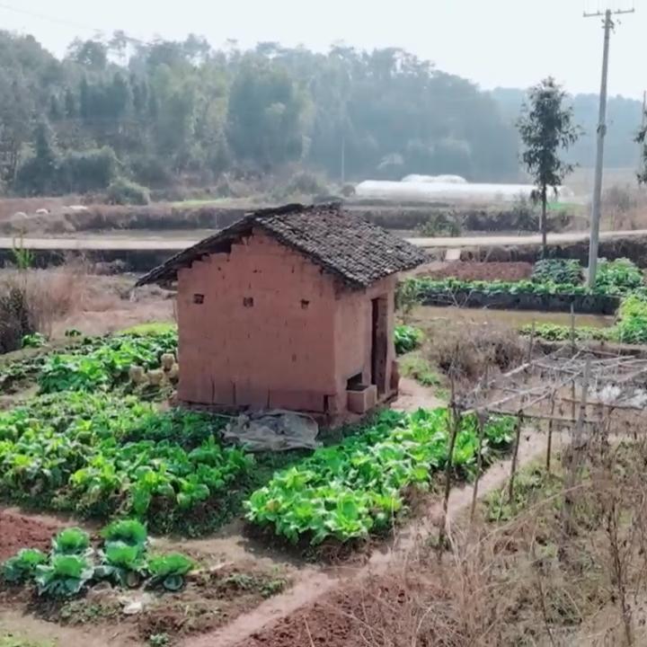 农村娃子小沈