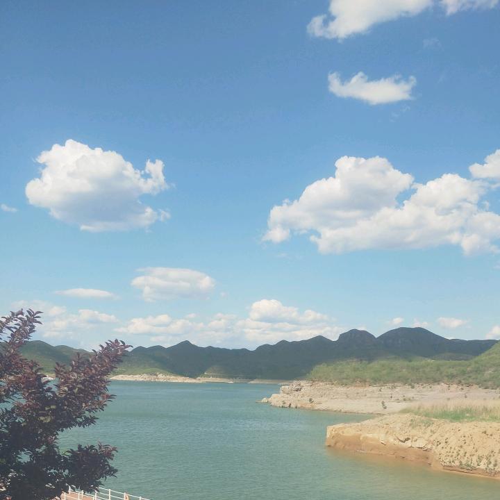 聚惠(毛线供应)