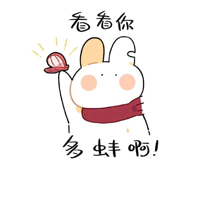 ʕ·͡˔·Ɂ忕佪ღ᭄ꦿ