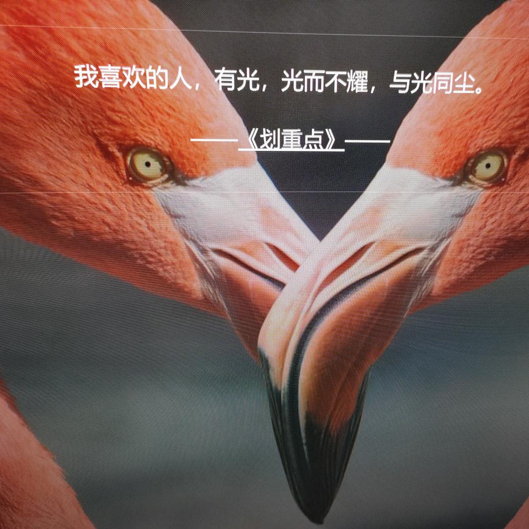 经典