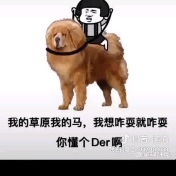 独狼